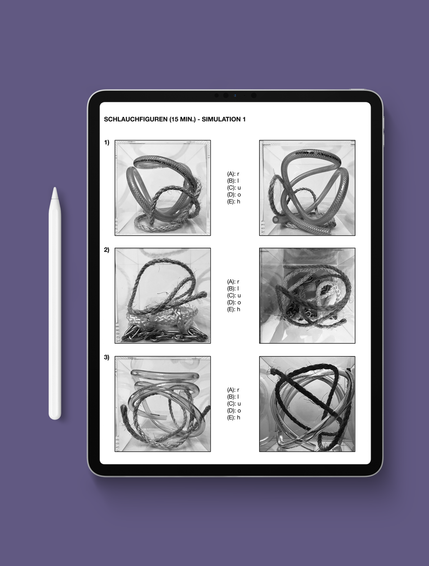 Schlauchfiguren 2025 - Digitaler Download