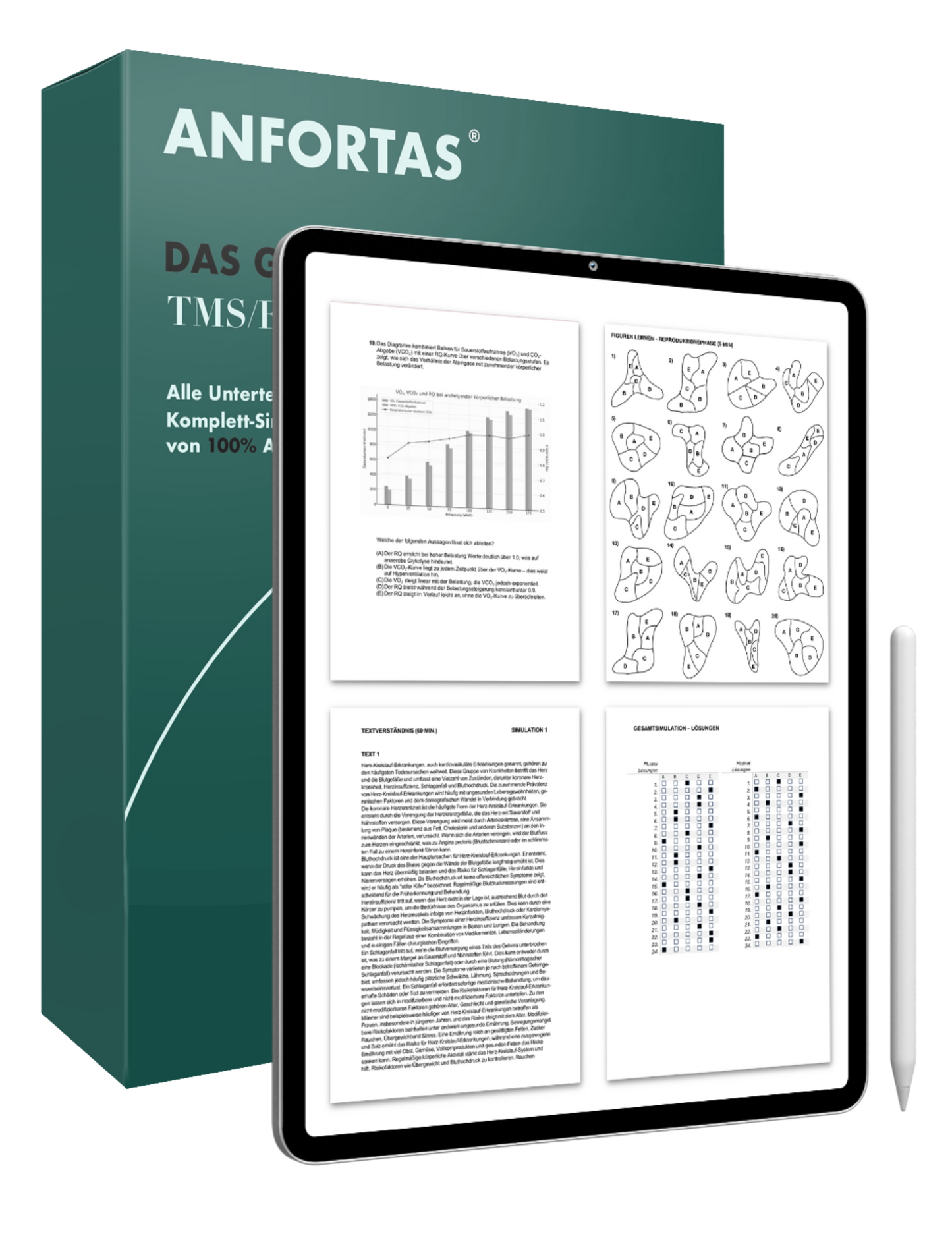 Gesamtpaket TMS 2025: Alles für dein Top-Ergebnis!🥇